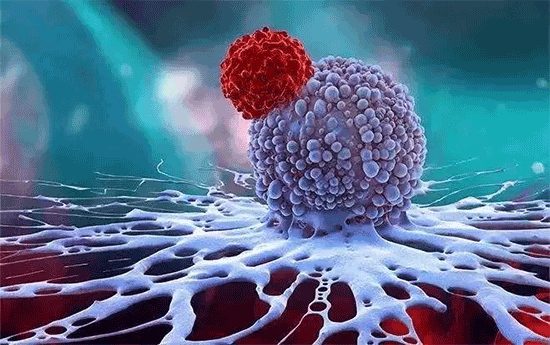 NK免疫细胞
