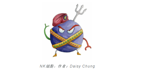 NK细胞