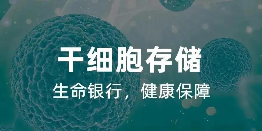 干细胞储存 干细胞储存