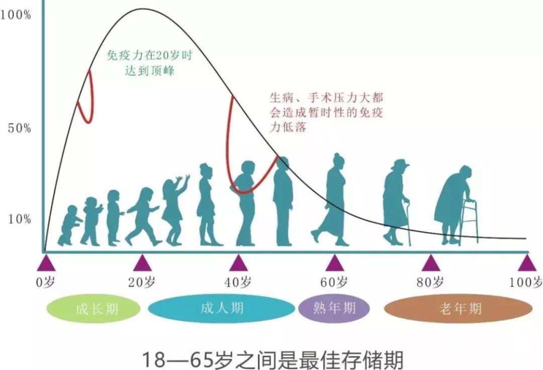 免疫细胞储存 免疫细胞储存