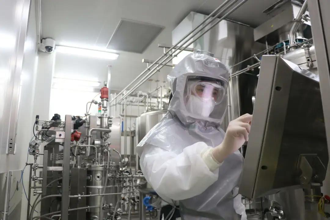 干细胞疗法 干细胞疗法
