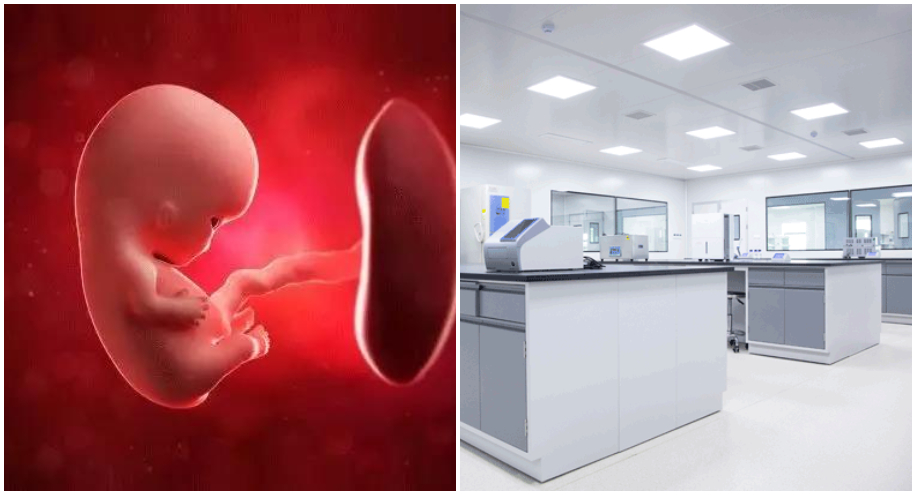 给新生儿存储干细胞有什么用啊？