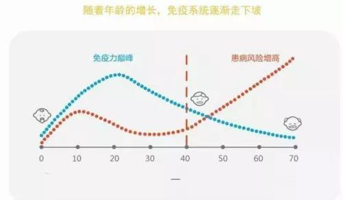 人体免疫力最高是什么时候? 人体免疫力最高是什么时候?