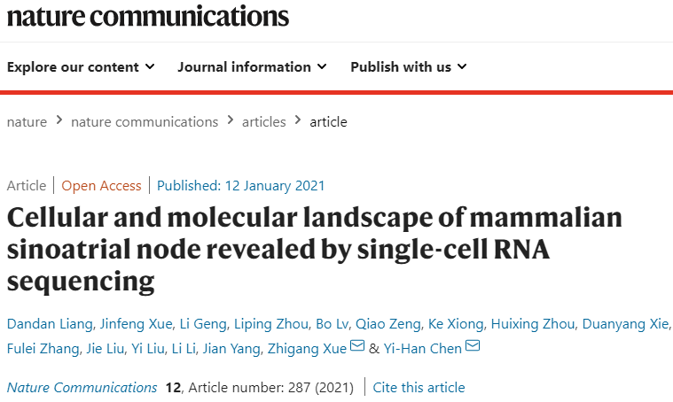 重大进展！源品生物薛志刚教授关于"揭示窦房结细胞的潜在标志物"研究论文发表在《Natrue》子刊！