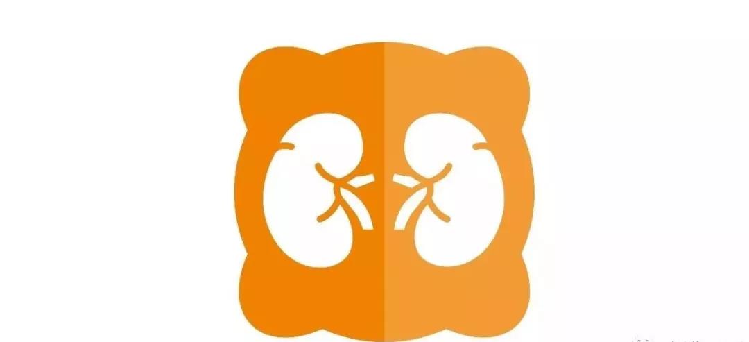 肾脏、前列腺开始衰老:50岁 肾脏、前列腺开始衰老:50岁