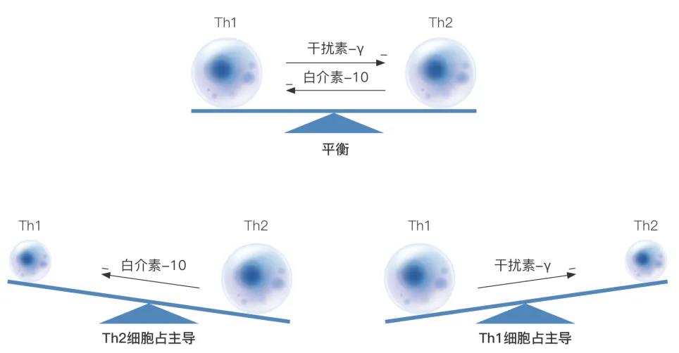 免疫力“强” ≠ 免疫力“准”，精准调控，干细胞是关键！