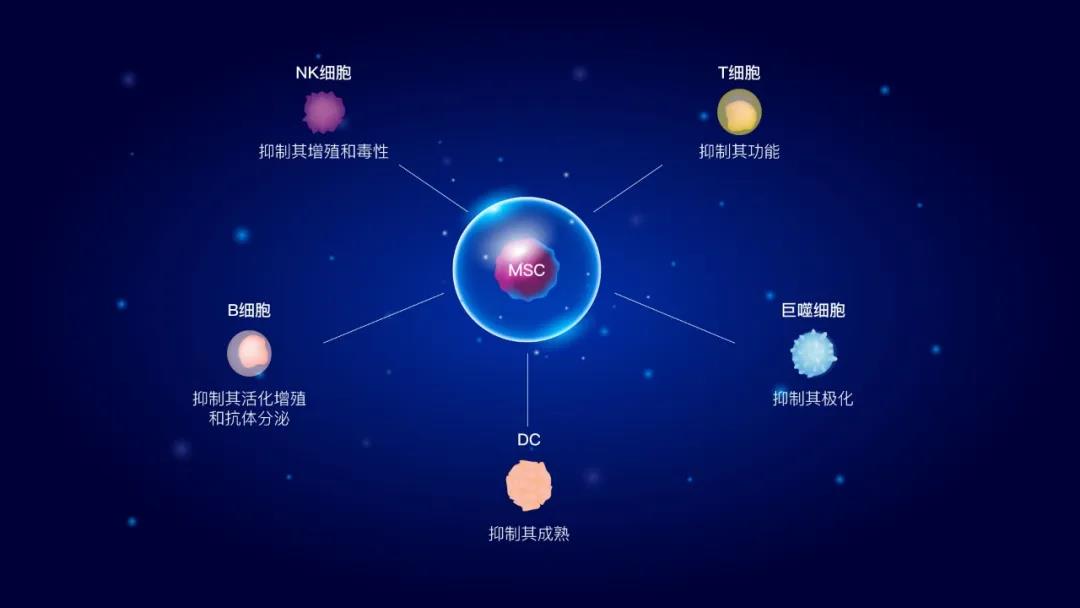 免疫细胞 免疫细胞