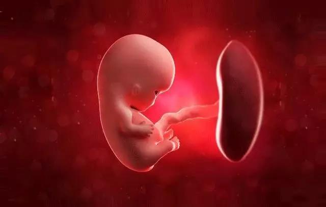 新生儿干细胞从哪里提取出来的？