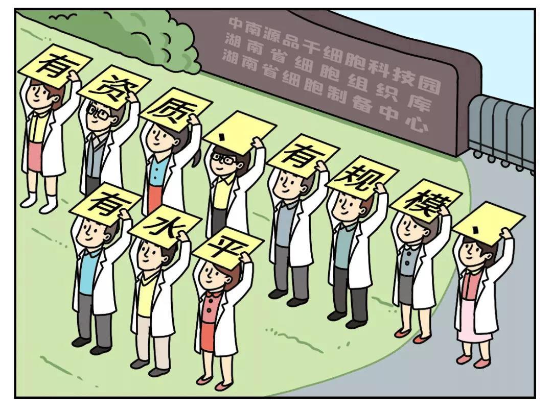 储存干细胞，首选湖南省细胞组织库