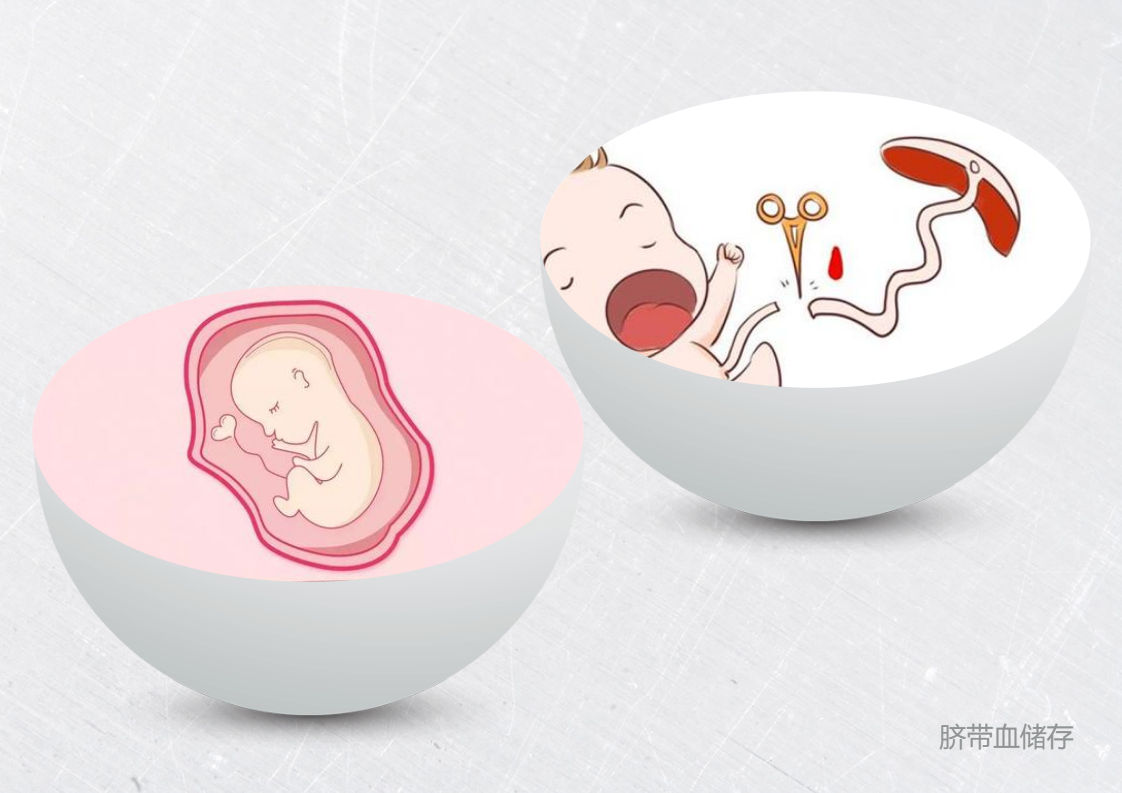 新生婴儿有必要储存干细胞吗？
