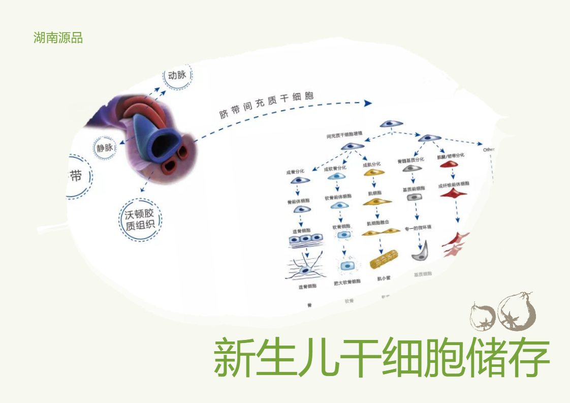 国内有哪些可以储存干细胞的正规机构？