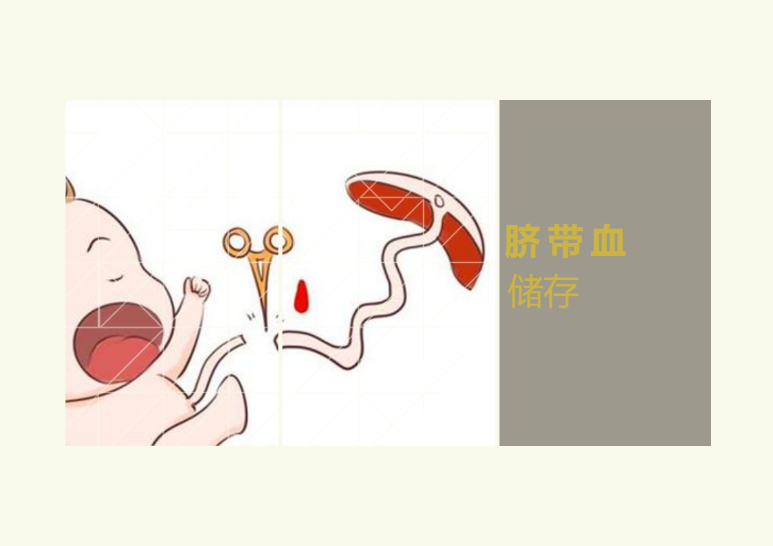 保存脐带血大约多少钱？脐带血储存价格信息