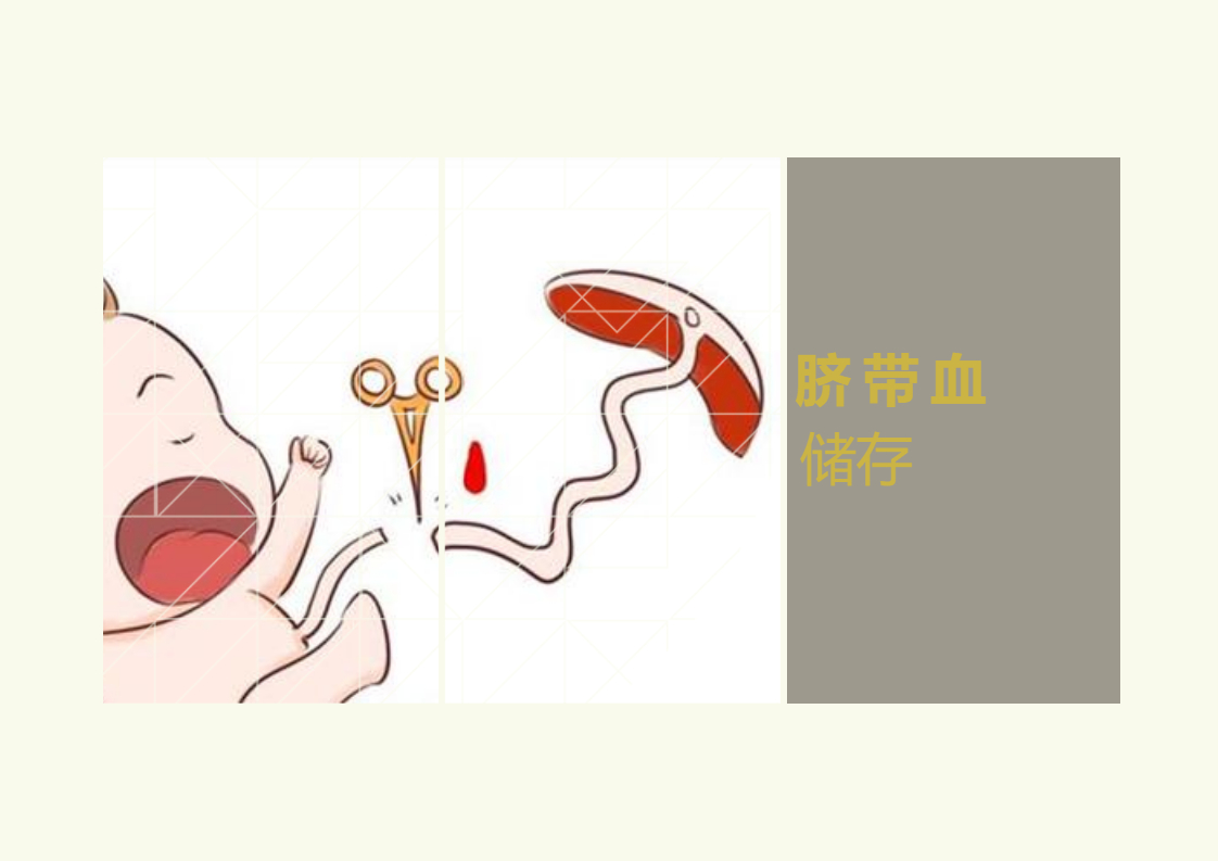 婴儿脐带间充质干细胞储存有危害吗？脐带间充质干细胞来源于新生儿，相对于成人的间充质干细胞更加纯净、更加原始，细胞的增殖、分化及免疫调节能力更强。