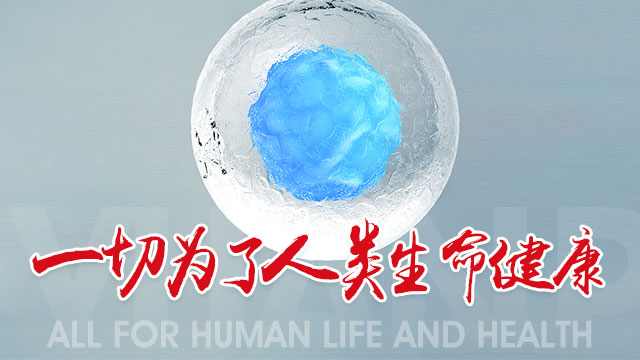 公司简介