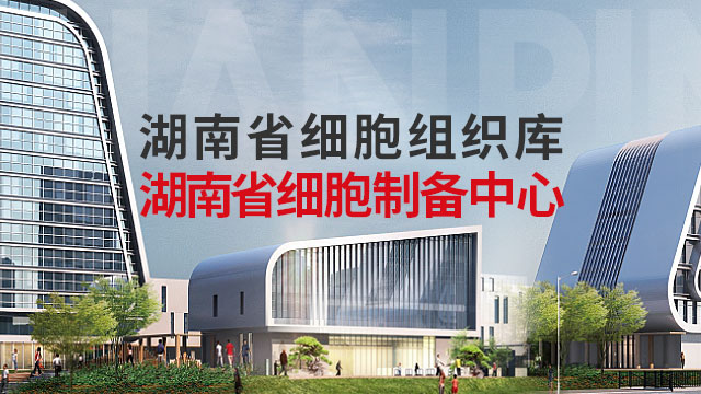 核心业务